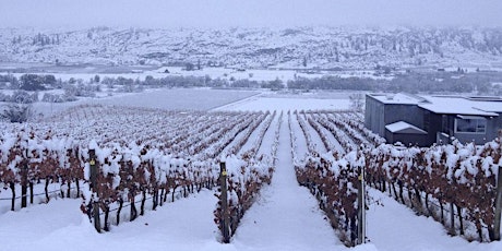 Emerging Cool Climate Wine Destinations