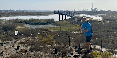 Hauptbild für OCH Restoration at Huntington Beach Wetlands Conservancy