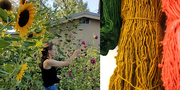 Harwood Art School: Natural Dyes, From your Kitchen to New Mexican Plants