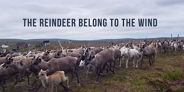 Sámi National Day — The Reindeer Belong To The Wind
