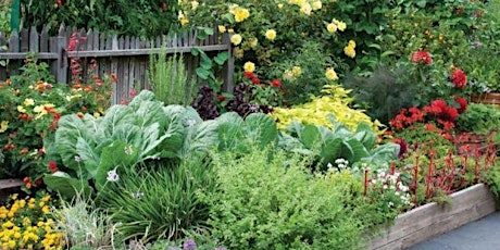 SUMMER GARDENING - TIPS FOR KEEPING YOUR PLANTS HEALTHY primary image