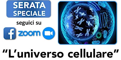 Hauptbild für L'UNIVERSO CELLULARE