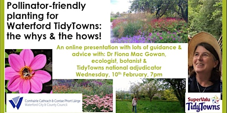 Pollinator-friendly planting - a webinar for Waterford's Tidy Towns groups primary image