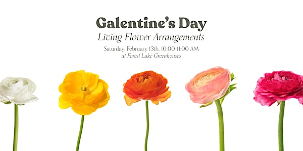 Galentine's Day Living Arrangement