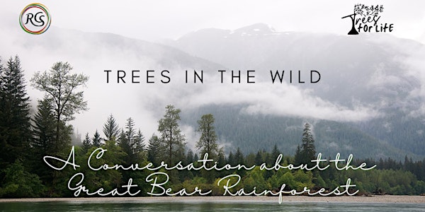 Trees In The Wild - A Conversation About The Great Bear Rainforest