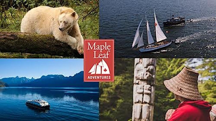 Trees In The Wild - A Conversation About The Great Bear Rainforest image