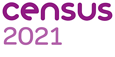 Census 2021 - VCS - Supporting your service users primary image