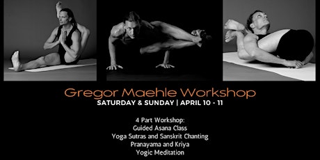 Gregor Maehle Ashtanga Yoga Workshops primary image