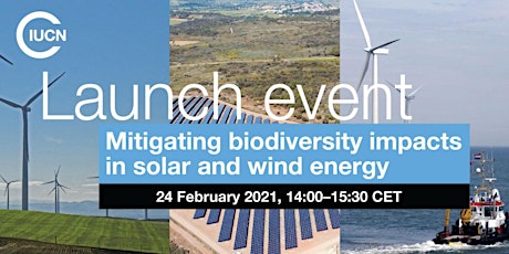 Mitigating biodiversity impacts associated with solar and wind energy
