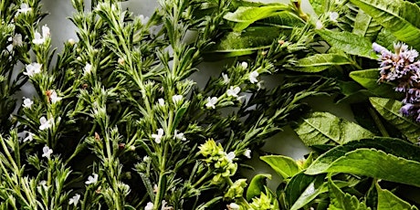 Making Your Own Herbal Teas - With Kayoki Whiteduck