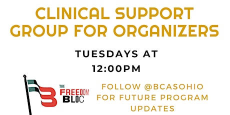 Clinical Support Group for Black Organizers primary image
