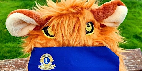 Ashbourne Lions Club Face Masks