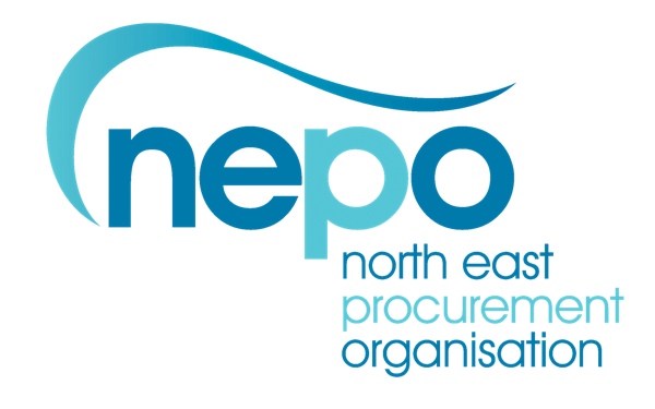 NEPO Framework: Provision of Lift & Escalator: Maintenance and Repair