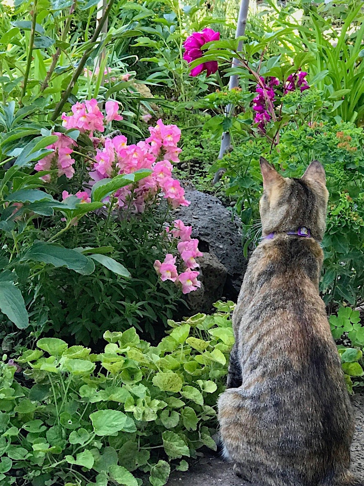 
		Healing the Land for Pollinators; Biodynamic Land Stewardship III image
