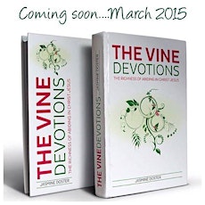 The VINE Devotionals Book Launch Party primary image