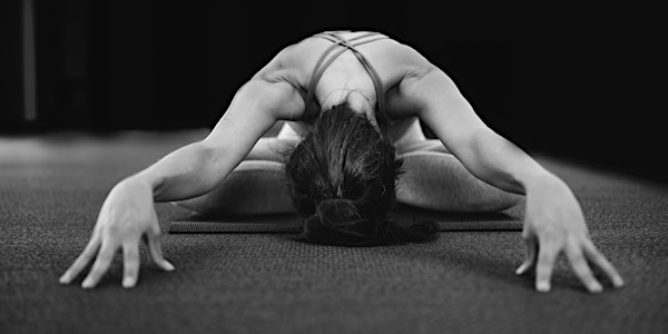 Yin Yoga with Randy - Beginner Stretch and Meditation