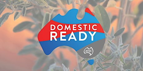 'Domestic Ready' - on-demand webinars primary image