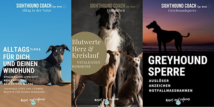 Sighthound Lounge Themenabend: Greyhoundsperre: Bild 