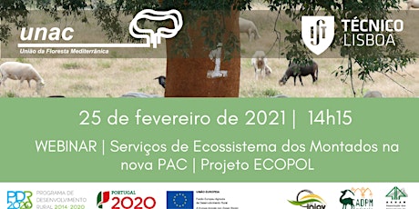 Imagem principal de Webinar | Serviços de Ecossistema dos Montados na nova PAC | Projeto ECOPOL