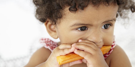 Baby Led Weaning Parent Workshop primary image