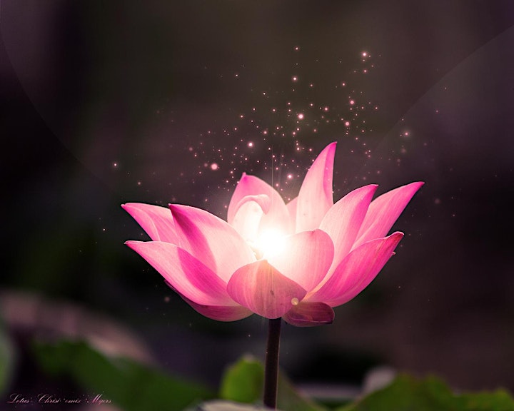 Miracle Mantras and Meditation image