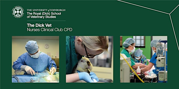 Nurses Clinical Club CPD - December 2021