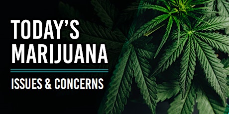Today's Marijuana - Issues & Concerns primary image