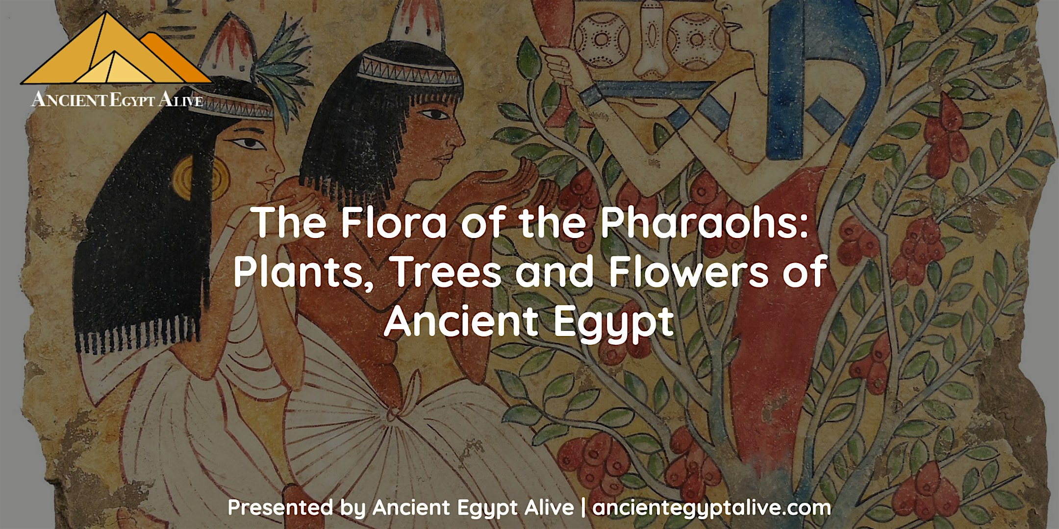 The Flora of the Pharaohs: Plants, Trees and Flowers of Ancient Egypt