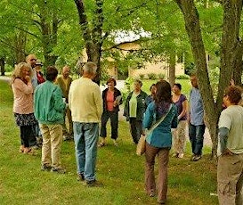 Diploma Program DEPOSIT: Healing Trees & Ecosystems - Sessions 2,3,4,5 primary image