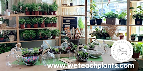 Build a Succulent Terrarium! - Kids Plant Club primary image