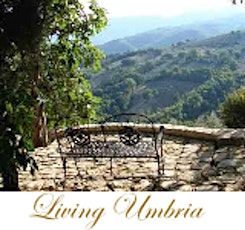 Living Umbria primary image