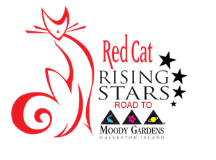 Annual Rising Stars Road 2 Moody Gardens Showcase primary image