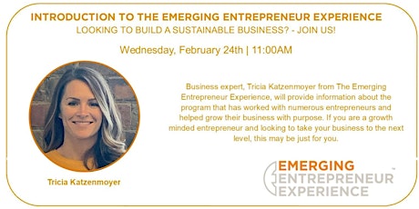 Introduction to The Emerging Entrepreneur Experience primary image