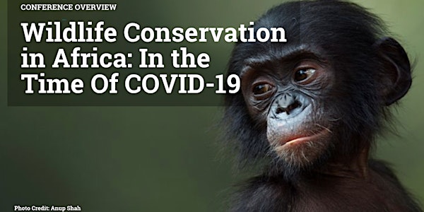 Wildlife Conservation in Africa: In the Time of COVID-19