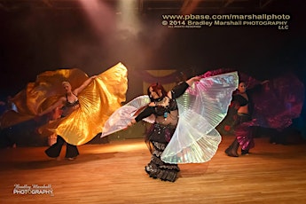THE 2015 FAERIE SHOW primary image