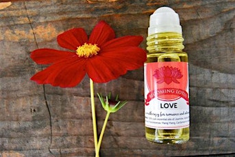 Spring into Wellness with Blooming Lotus Apothecary at The Haven Collective primary image