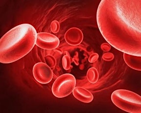 Messages From Your Blood primary image