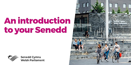 An Introduction to your Senedd