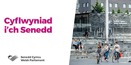 Cyflwyniad i'ch Senedd