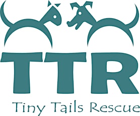 Tiny Tails Rescue Quiz Night primary image