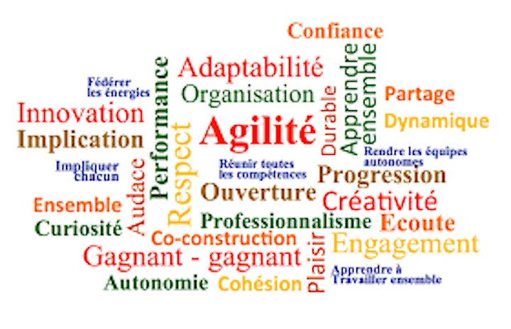 Image pour Agile Scrum : Gestion de projet Agile