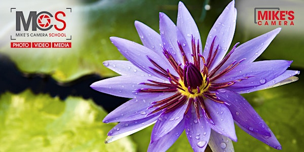 Macro Photography- 3-Part Workshop with Denver Botanic Gardens