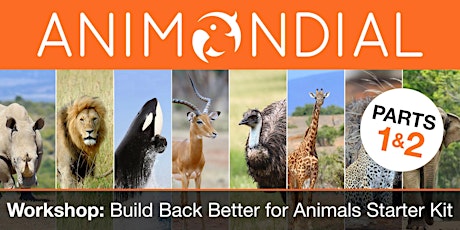 Full Workshop – Build Back Better for Animals Starter Kit primary image