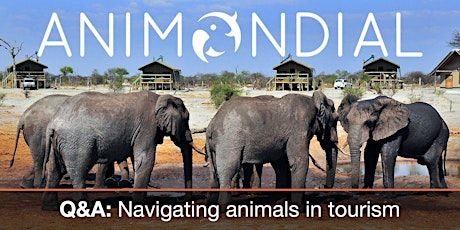 Q&A – Navigating animals in tourism primary image