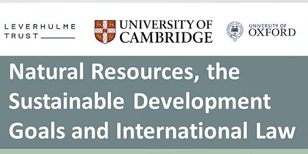 Natural Resources, the Sustainable Development Goals and International Law