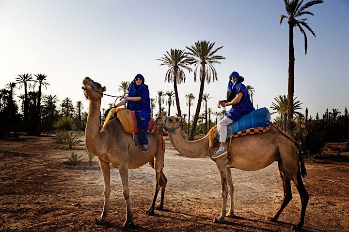 Marrakech Camel Ride in the Palm Grove - Virtual Live Tour image