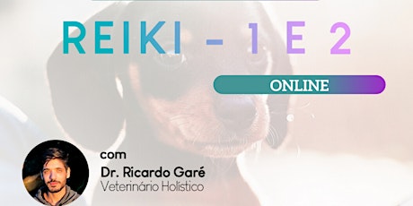 Imagem principal do evento Curso Online - Reiki Nível 2 - 04 de abril de 2021