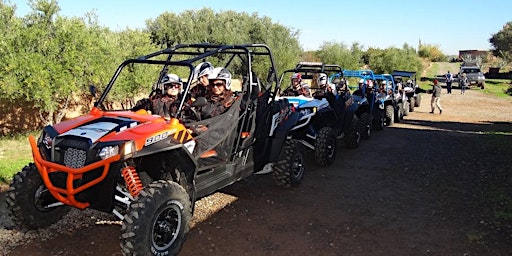 Marrakech Buggy Drive in the Palm Groves- 100 % Live Tour