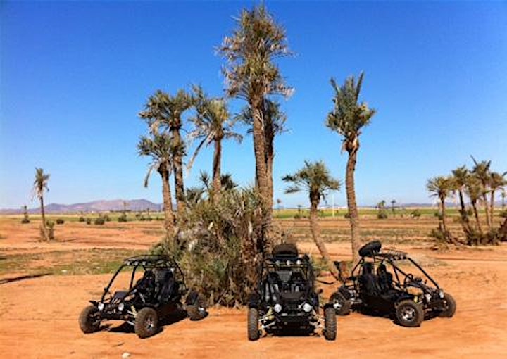 
		Marrakech Buggy Drive in the Palm Groves- 100 % Live Tour image
