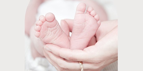 Baby Reflexology Workshop - The Immune & Respiratory System primary image